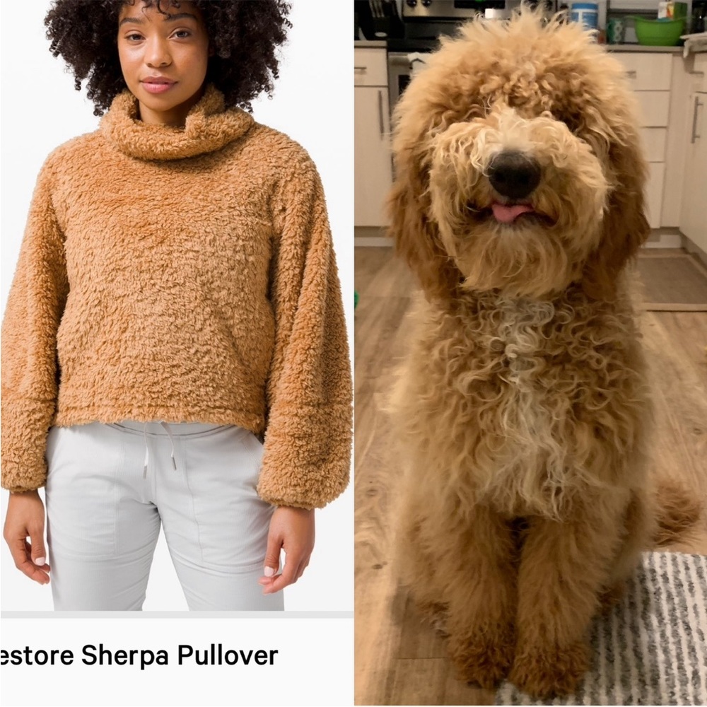 lululemon Warmth Restore Sherpa pullover gold buff